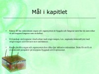 /album/sinnesorganen/a6-sinnesorganen-002-jpeg/